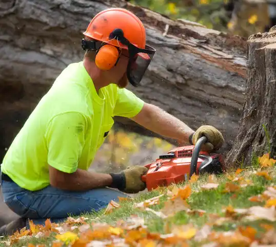 tree services Coopersville